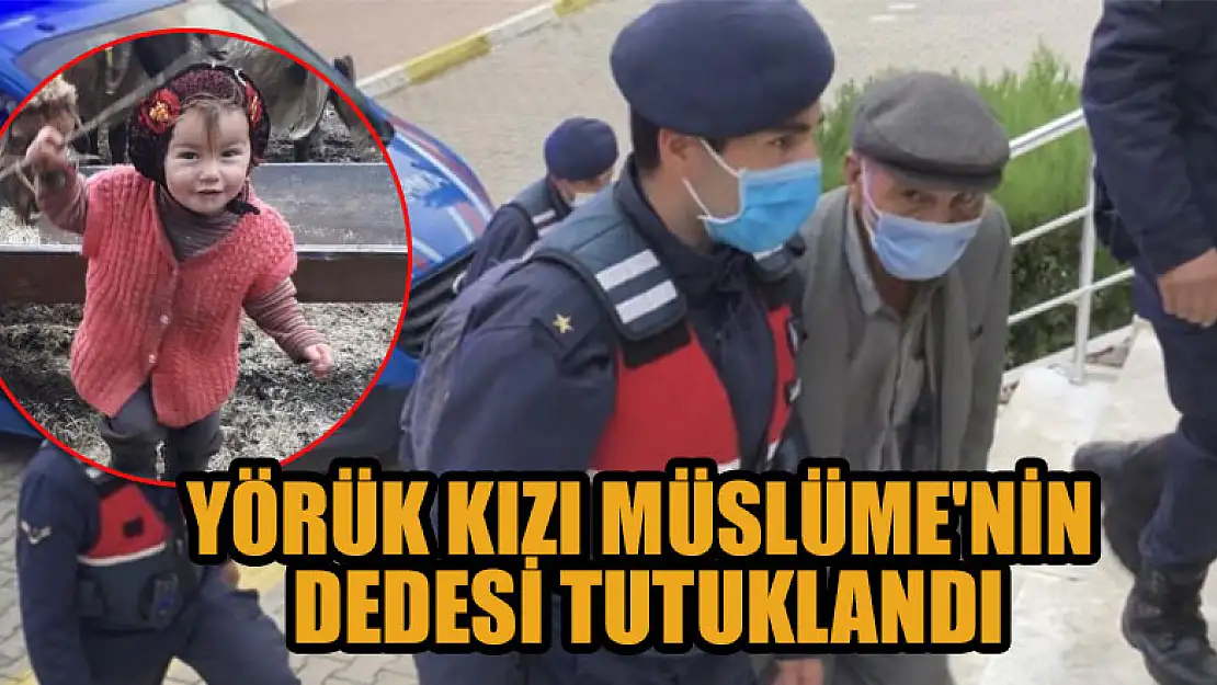 Yörük kızı Müslüme'nin dedesi tutuklandı