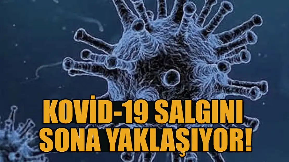 Kovid-19 salgını sona yaklaşıyor