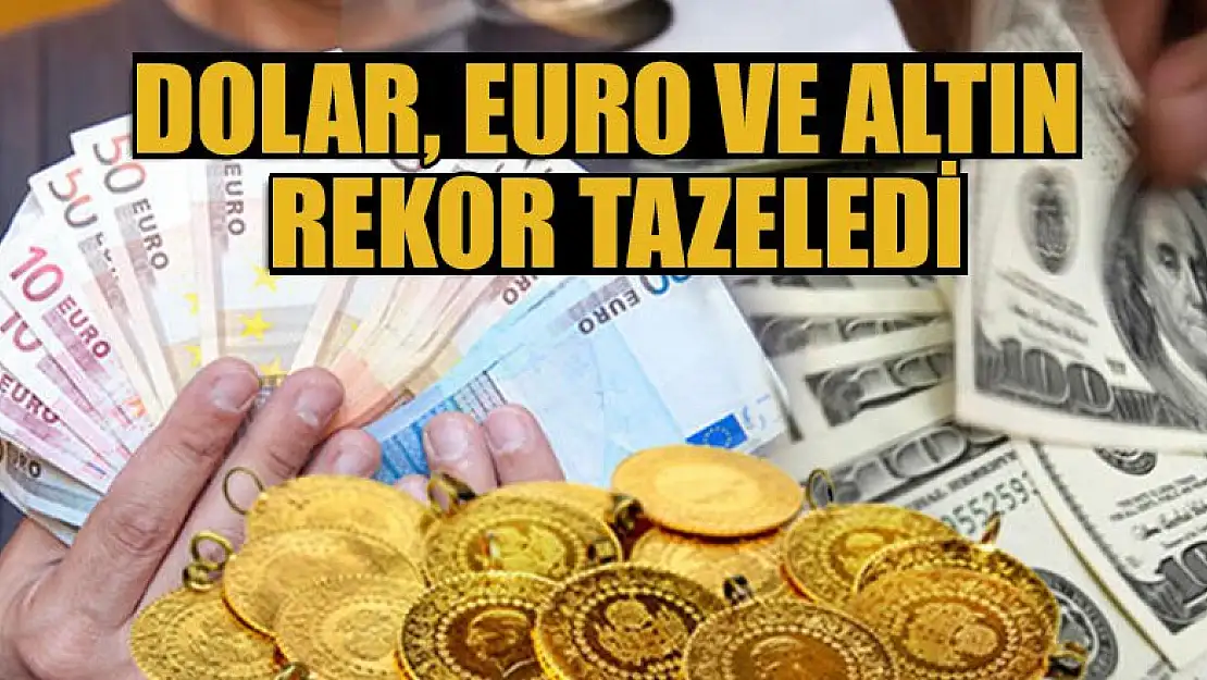 Dolar, Euro ve altın rekor tazeledi