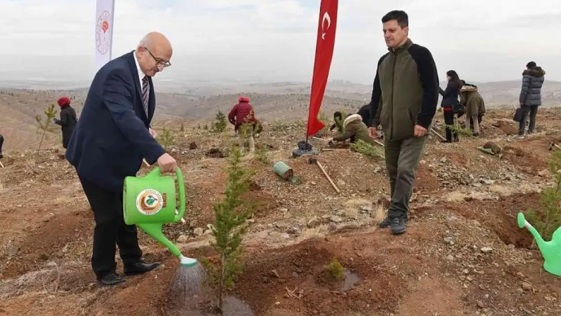 Öğretmenler hatıra ormanına  fidan dikimi gerçekleştirdi