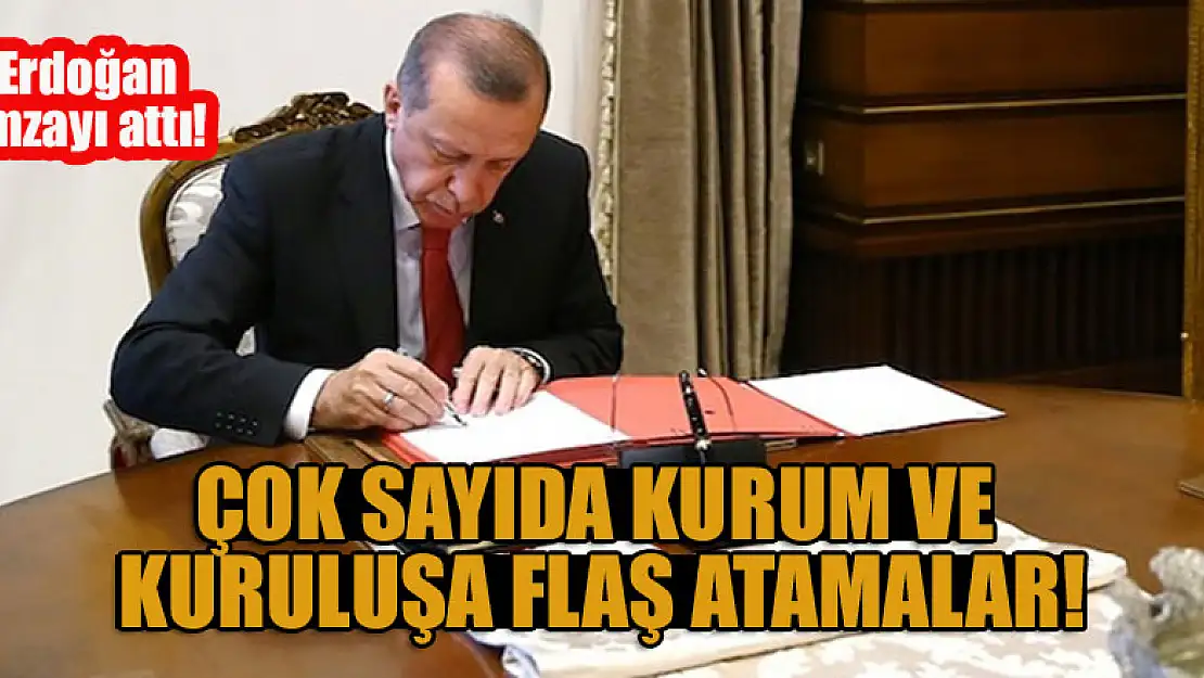 Erdoğan imzayı attı! Çok sayıda kurum ve kuruluşa flaş atamalar