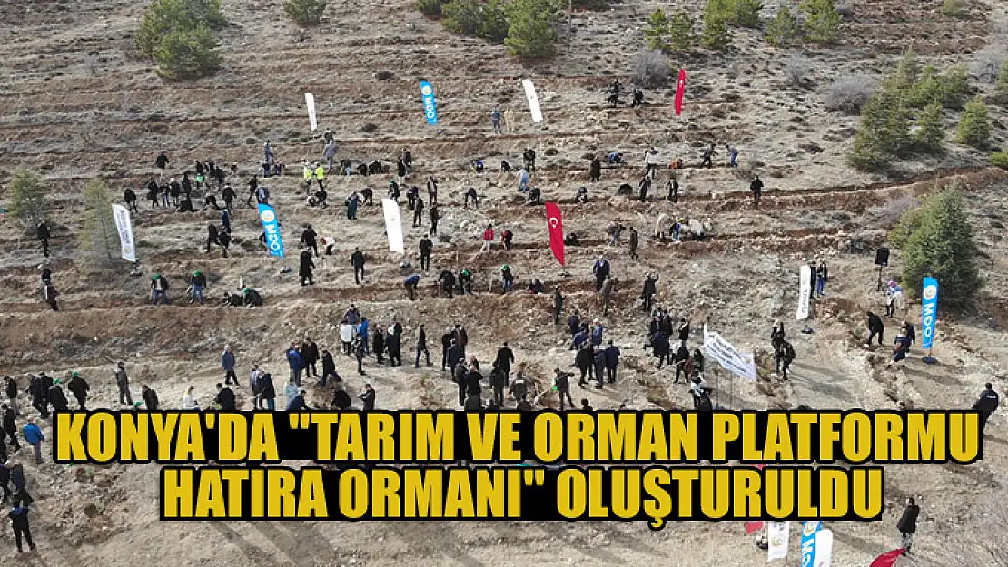 Konya'da 'Tarım ve Orman Platformu Hatıra Ormanı' oluşturuldu