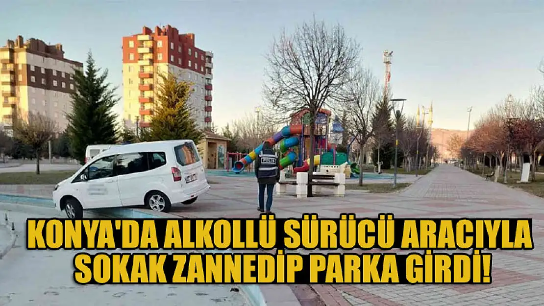 Konya'da alkollü sürücü aracıyla sokak zannedip parka girdi