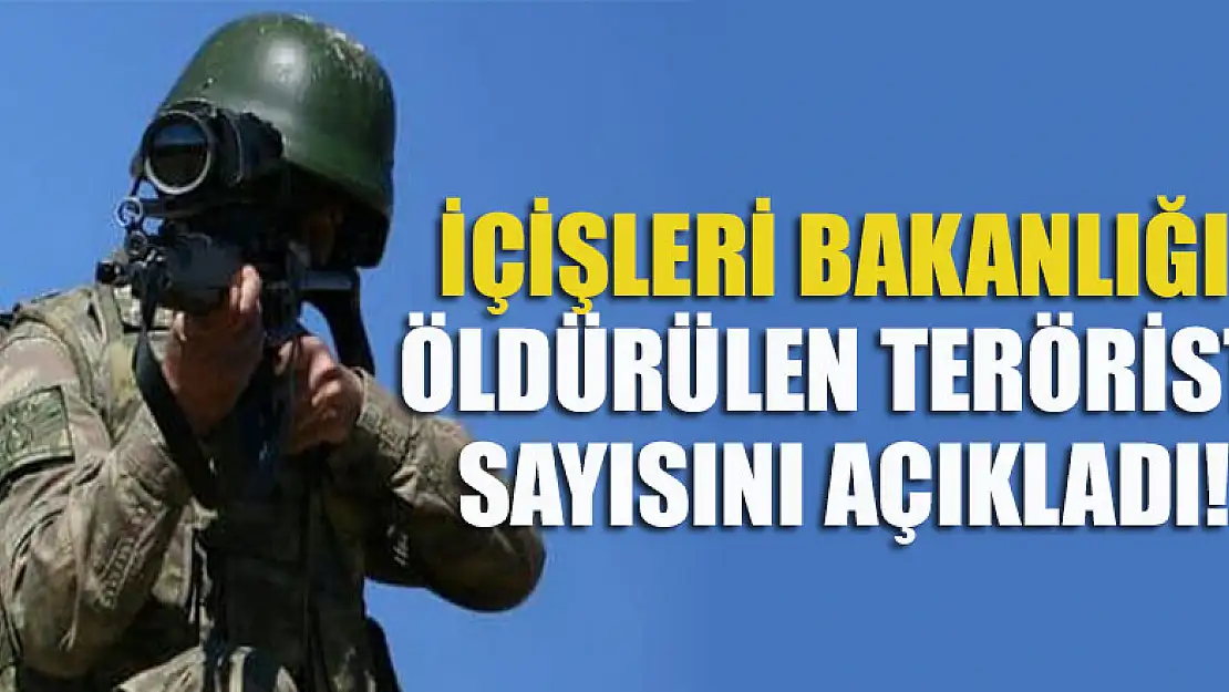 İçişleri Bakanlığı öldürülen terörist sayısını açıkladı