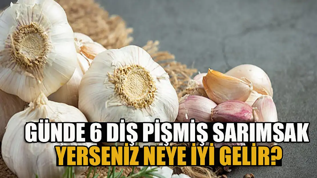 Günde 6 diş pişmiş sarımsak yerseniz neye iyi gelir