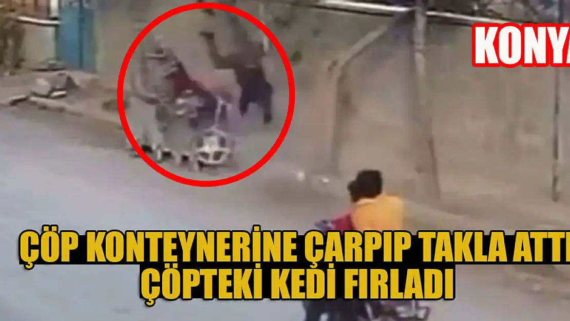 Konya'da çöp konteynerine çarpıp takla attı, çöpteki kedi fırladı