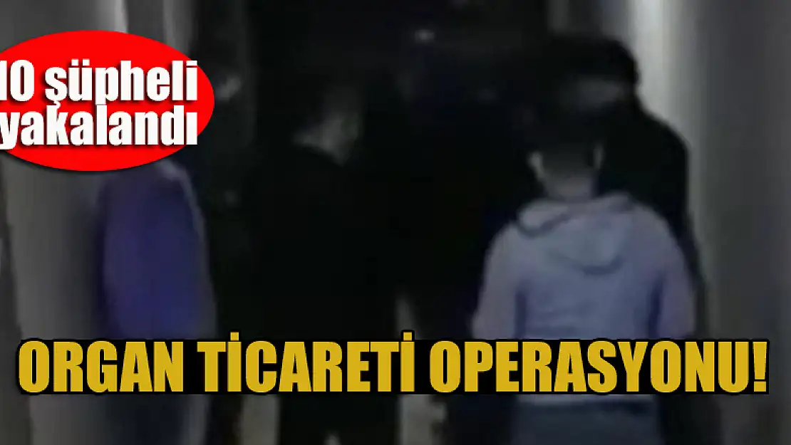 Organ ticareti operasyonu! 10 şüpheli yakalandı