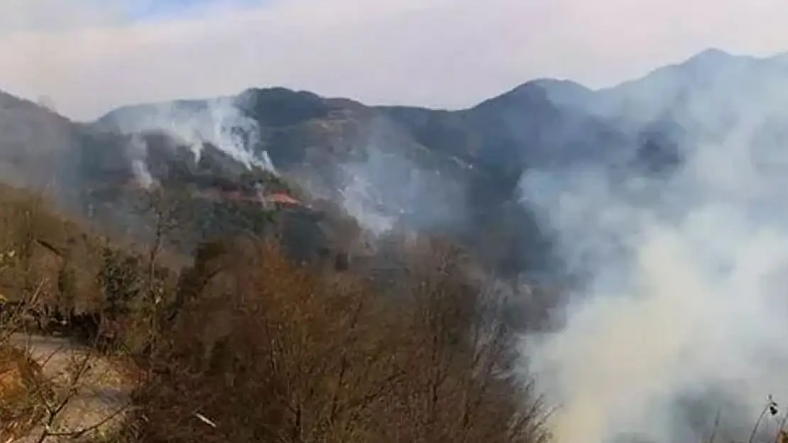 Trabzon ve Rize'de orman yangınları