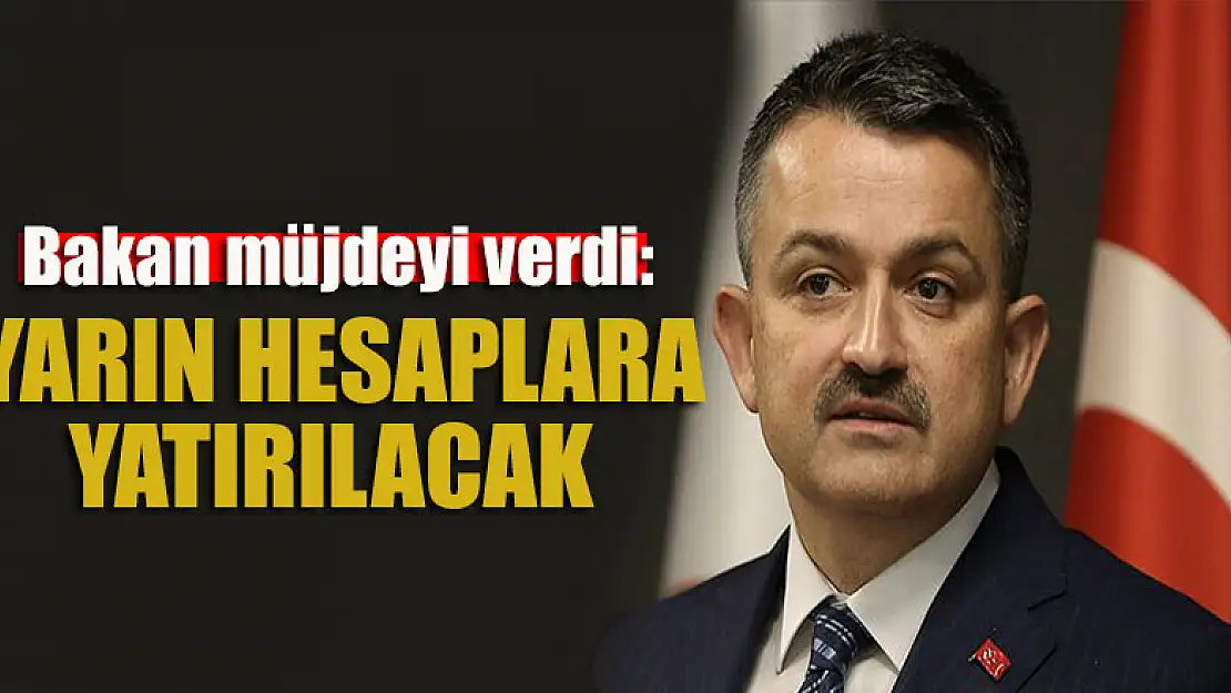 Bakan müjdeyi verdi: Yarın hesaplara yatırılacak