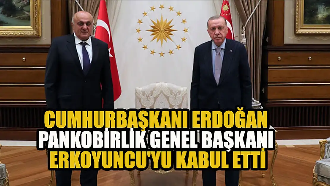 Cumhurbaşkanı Erdoğan, PANKOBİRLİK Genel Başkanı Erkoyuncu'yu kabul etti