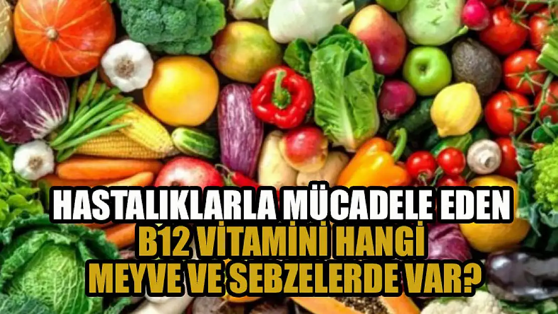 Hastalıklarla mücadele eden  B12 vitamini hangi meyve ve sebzelerde var?