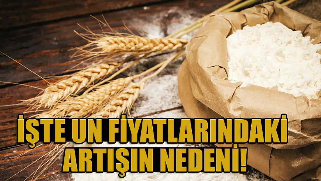 İşte un fiyatlarındaki artışın nedeni!