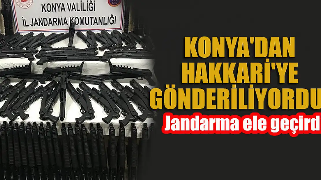 Konya'dan Hakkari'ye gönderiliyordu! Jandarma ele geçirdi