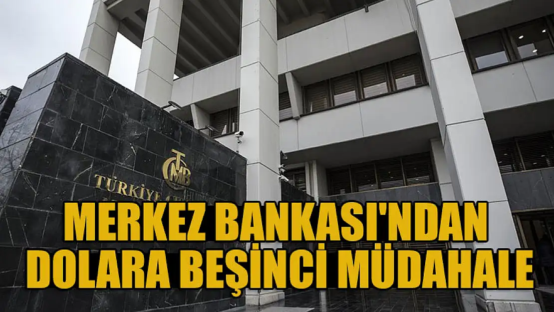 Merkez Bankası'ndan dolara beşinci müdahale