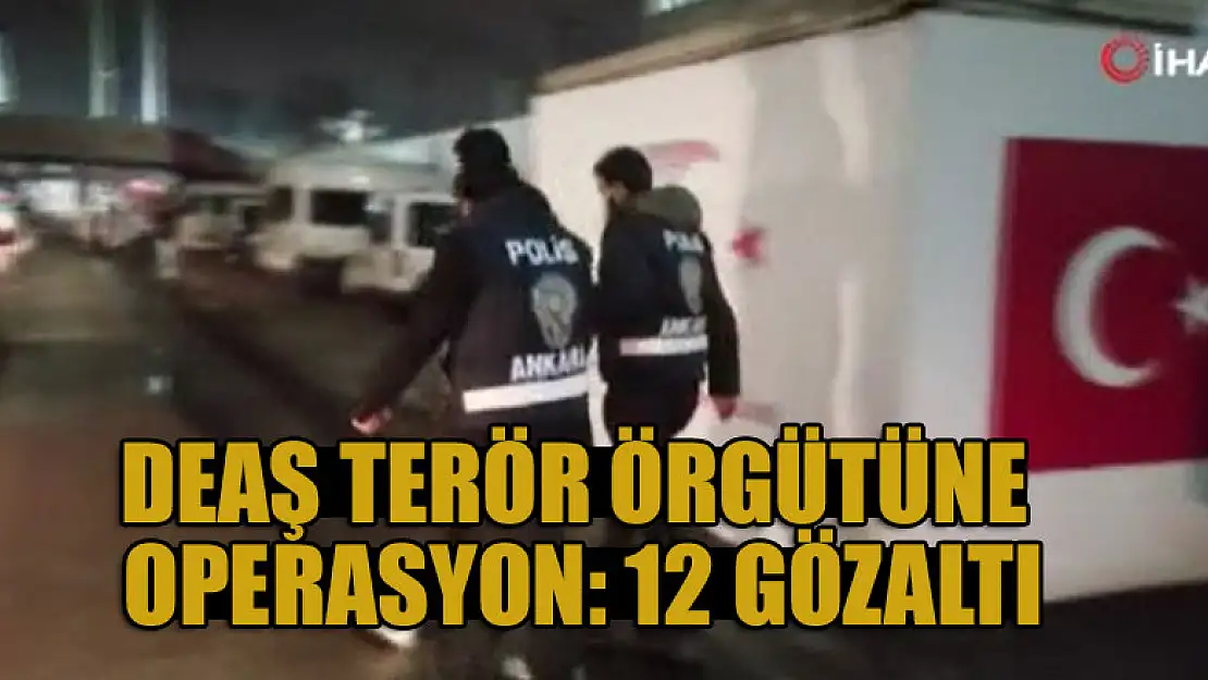 DEAŞ terör örgütüne operasyon: 12 gözaltı