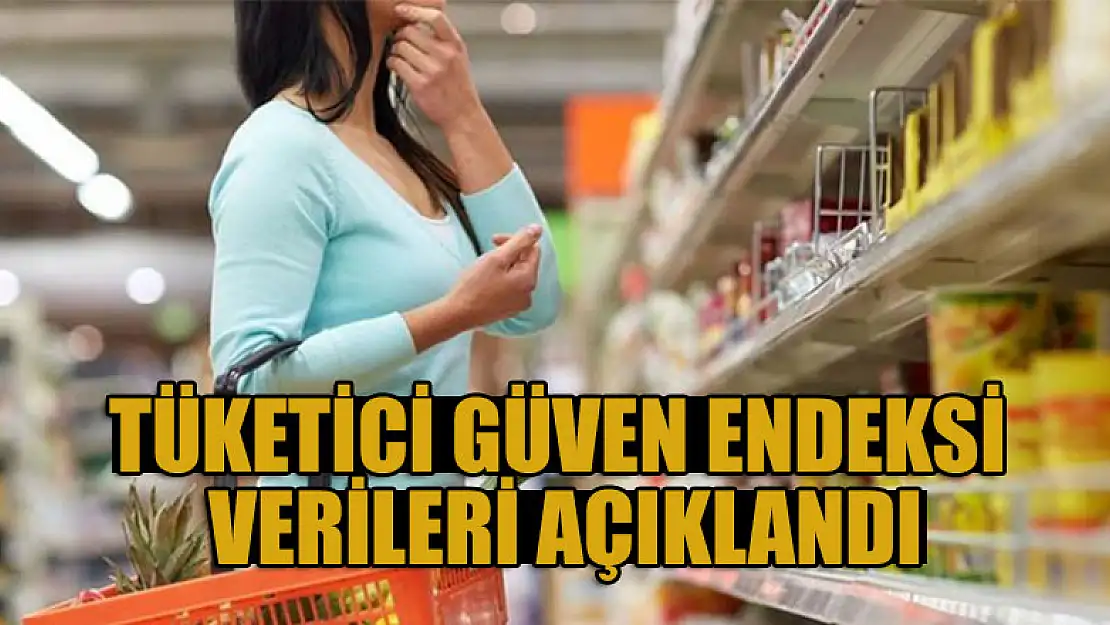 Tüketici Güven Endeksi verileri açıklandı