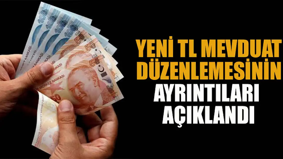 Yeni TL mevduat düzenlemesinin ayrıntıları açıklandı