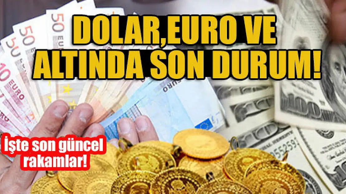 Dolar, Euro ve altında son durum! İşte son güncel rakamlar