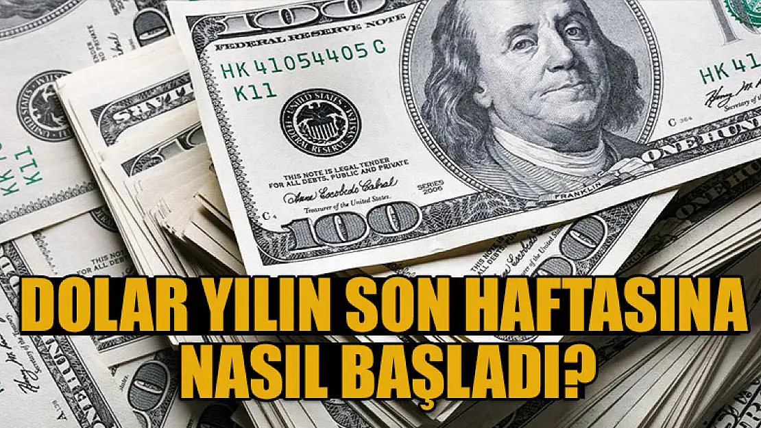 Dolar, yılın son haftasına nasıl başladı?