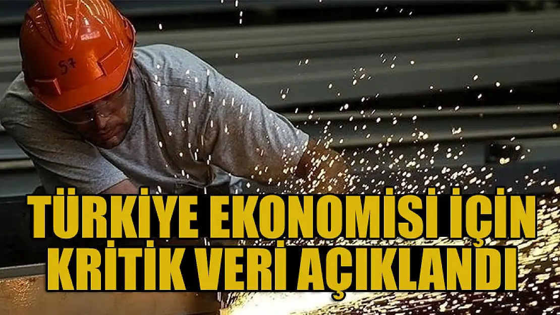 Türkiye ekonomisi için kritik veri açıklandı