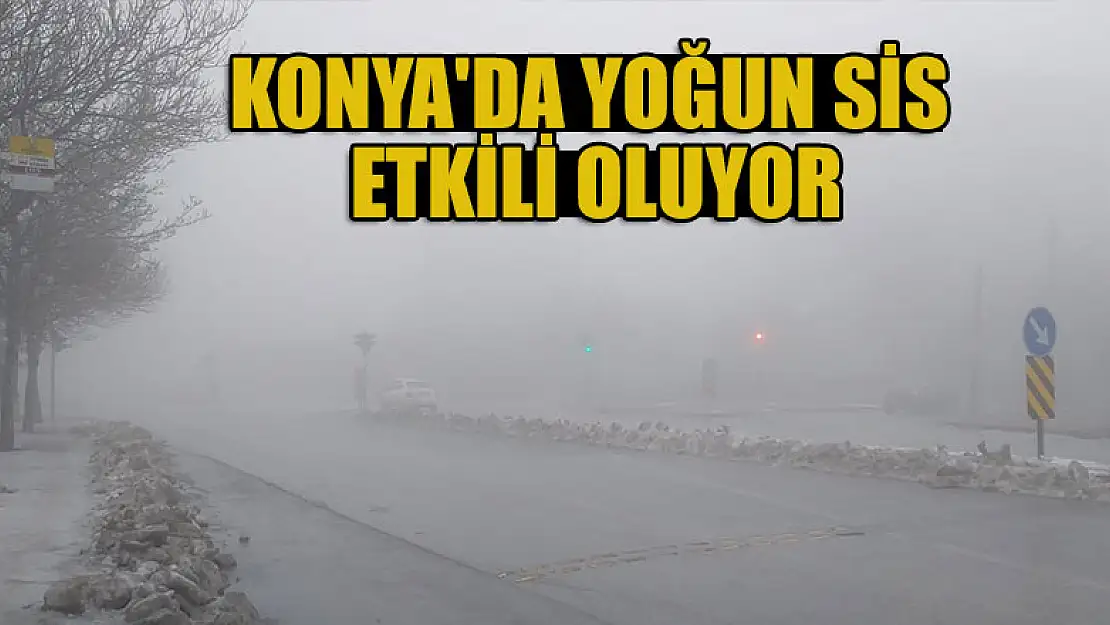 Konya'da yoğun sis etkili oluyor