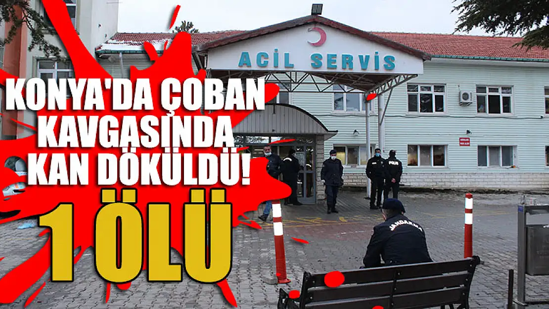 Konya'da çoban kavgasında kan döküldü: 1 ölü