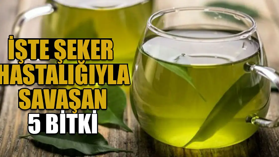 Şeker hastalığıyla savaşan 5 bitki