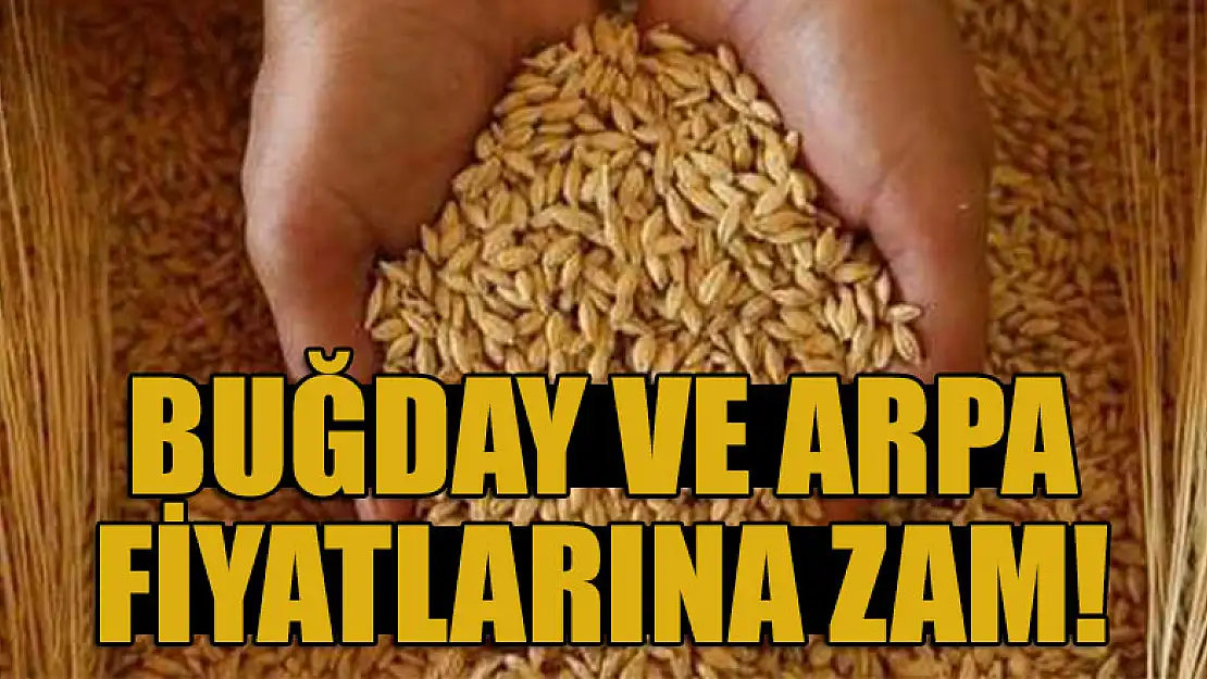 Buğday ve arpa fiyatlarına zam!