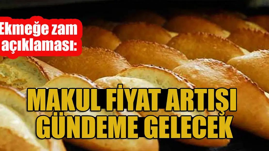 Ekmeğe zam açıklaması: Makul fiyat artışı gündeme gelecek