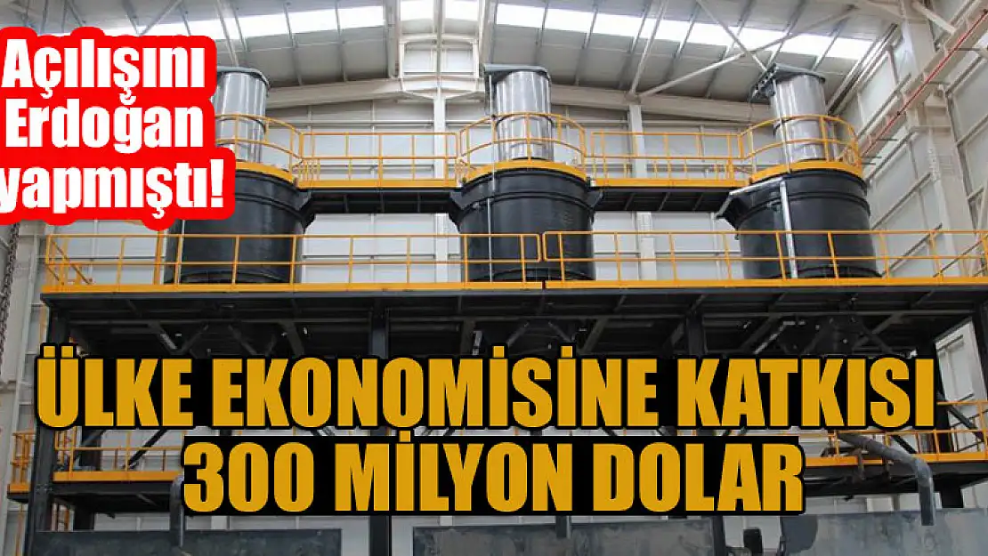 Açılışını Erdoğan yapmıştı! Ülke ekonomisine katkısı 300 milyon dolar