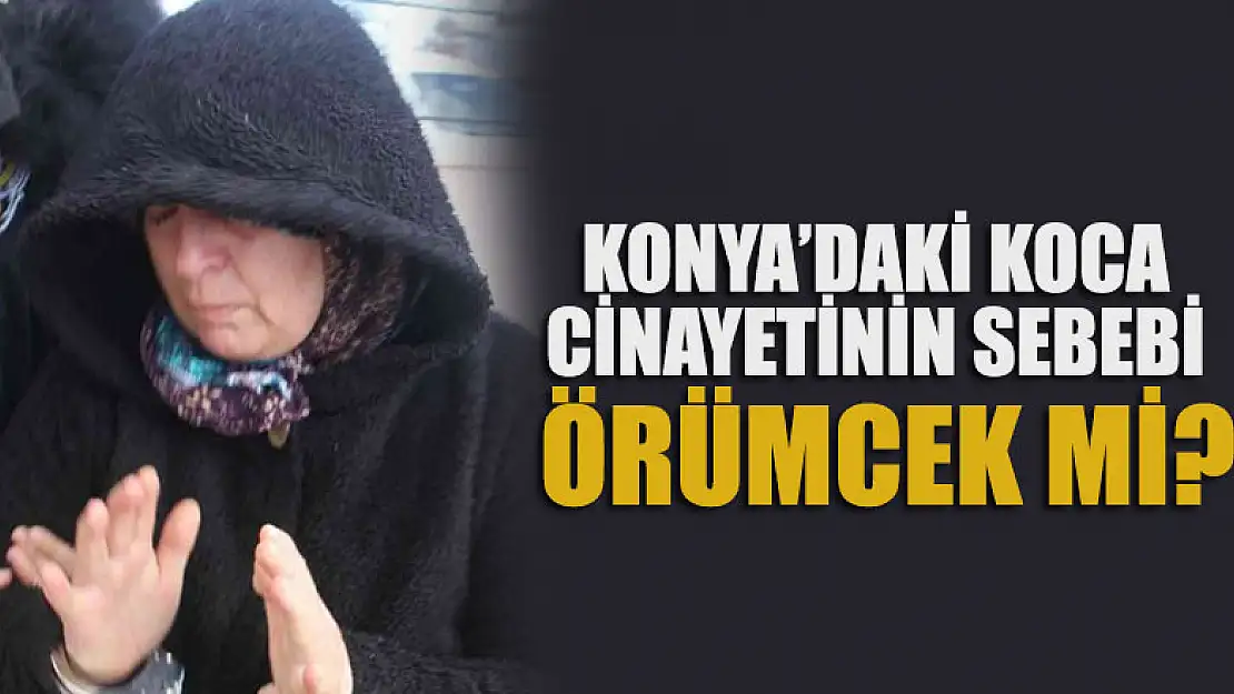 Konya'daki koca cinayetinin sebebinin 'örümcek' olduğu iddiası