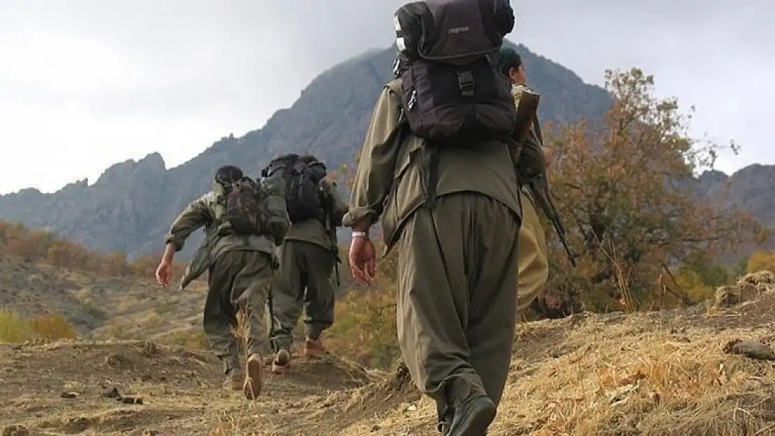 Terör örgütü PKK'da çözülme devam ediyor, 3 örgüt mensubu daha ikna yoluyla teslim oldu