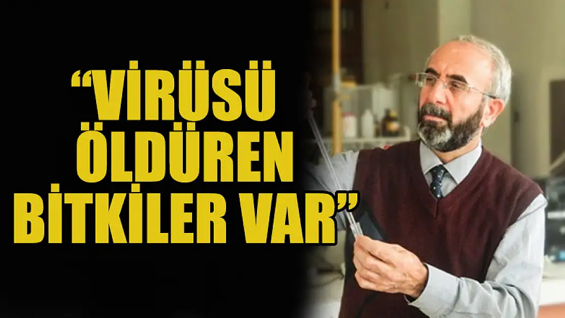 Prof. Dr. İlker Durak: Doğrudan doğruya virüsü öldüren bitkiler var