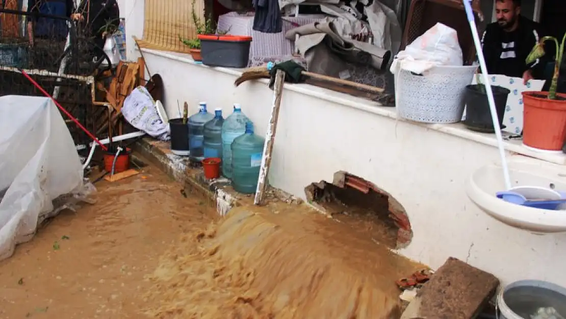 Bodrum'da sel faciası, evleri su bastı, sokak hayvanları boğuldu