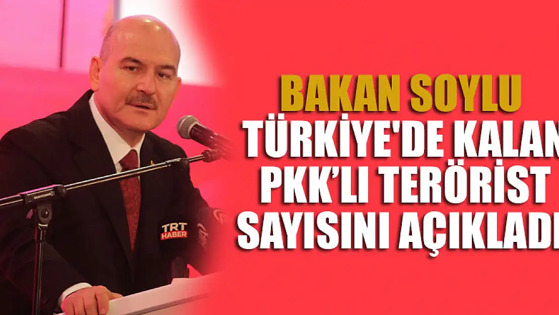 Bakan Soylu Türkiye'de kalan PKK!lı terörist sayısını açıkladı