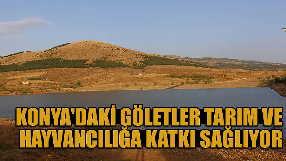 Konya'daki göletler tarım ve hayvancılığa katkı sağlıyor