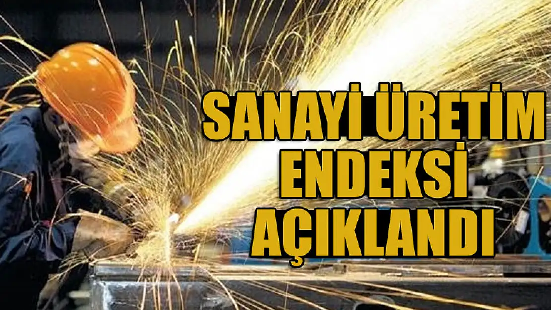 Sanayi üretim endeksi açıklandı