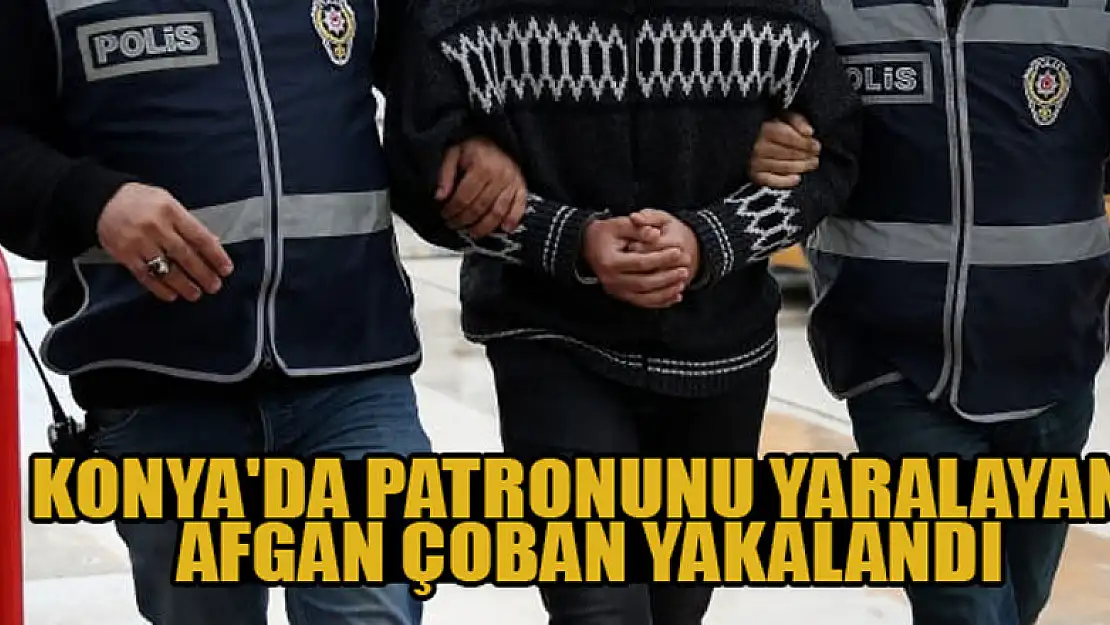 Konya'da patronunu yaralayan Afgan çoban yakalandı