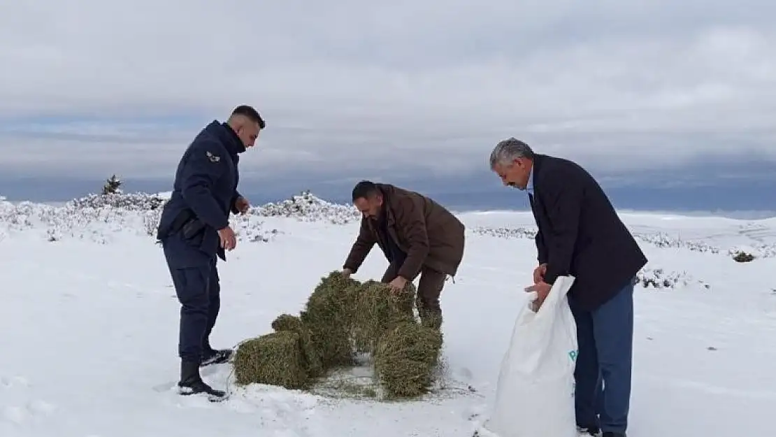 Yaban hayvanları için doğaya yem bırakıldı