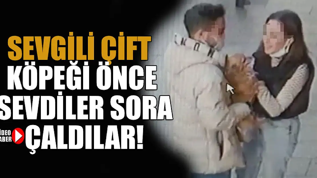 Sevgili çift işyeri önüne bırakılan köpeği önce sevdiler sora çaldılar