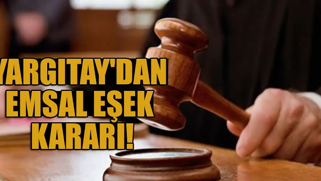 Yargıtay'dan emsal eşek kararı