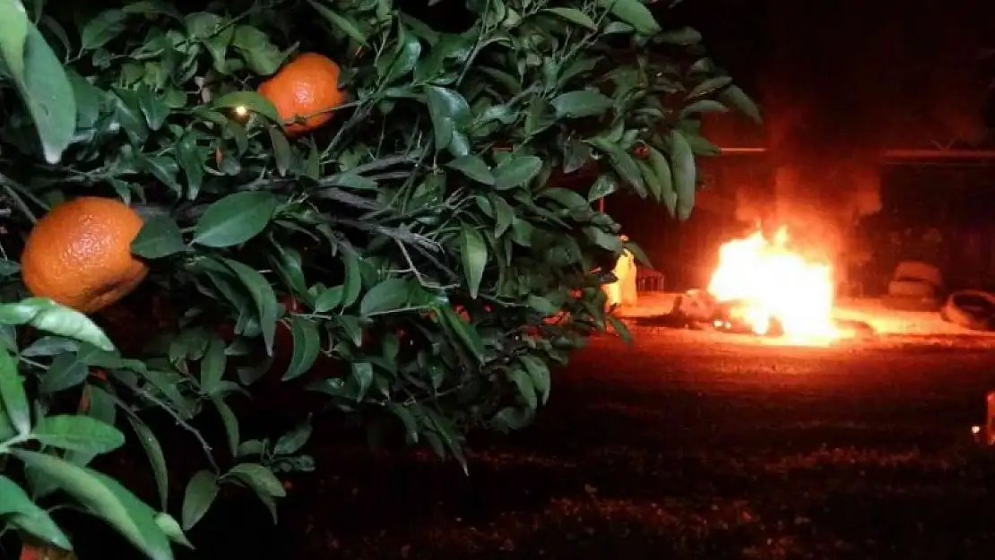 Mersin'de bahçelerde lastikler, seralarda sobalar yakıldı, zirai don nöbeti başladı