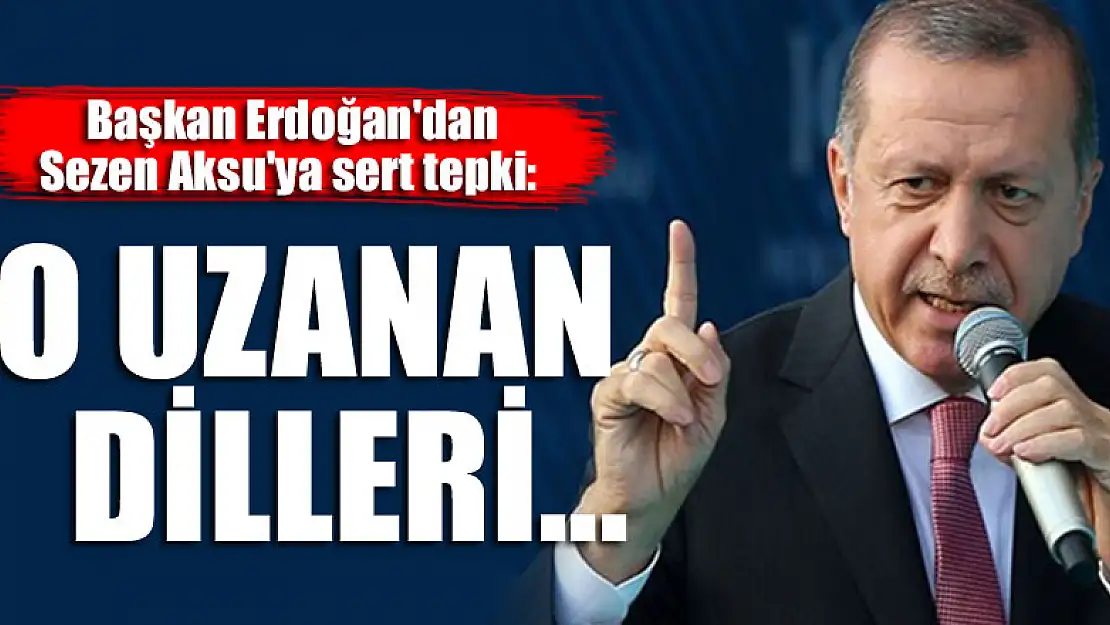 Erdoğan'dan Sezen Aksu'ya sert tepki: O uzanan dilleri...