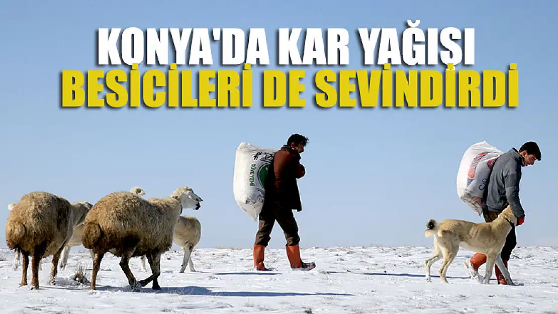 Konya'da kar yağışı çiftçiler kadar besicileri de sevindirdi