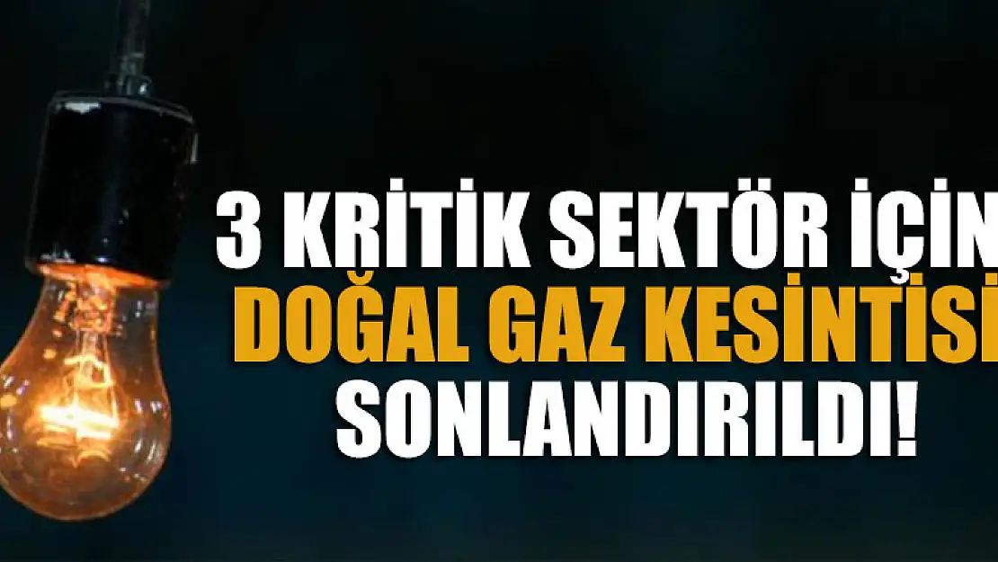 3 kritik sektör için doğal gaz kesintisi sonlandırıldı