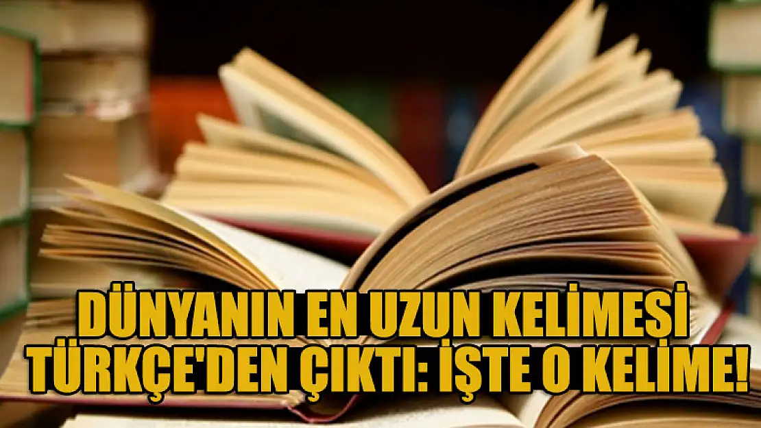 Dünyanın en uzun kelimesi Türkçe'den çıktı: İşte o kelime!