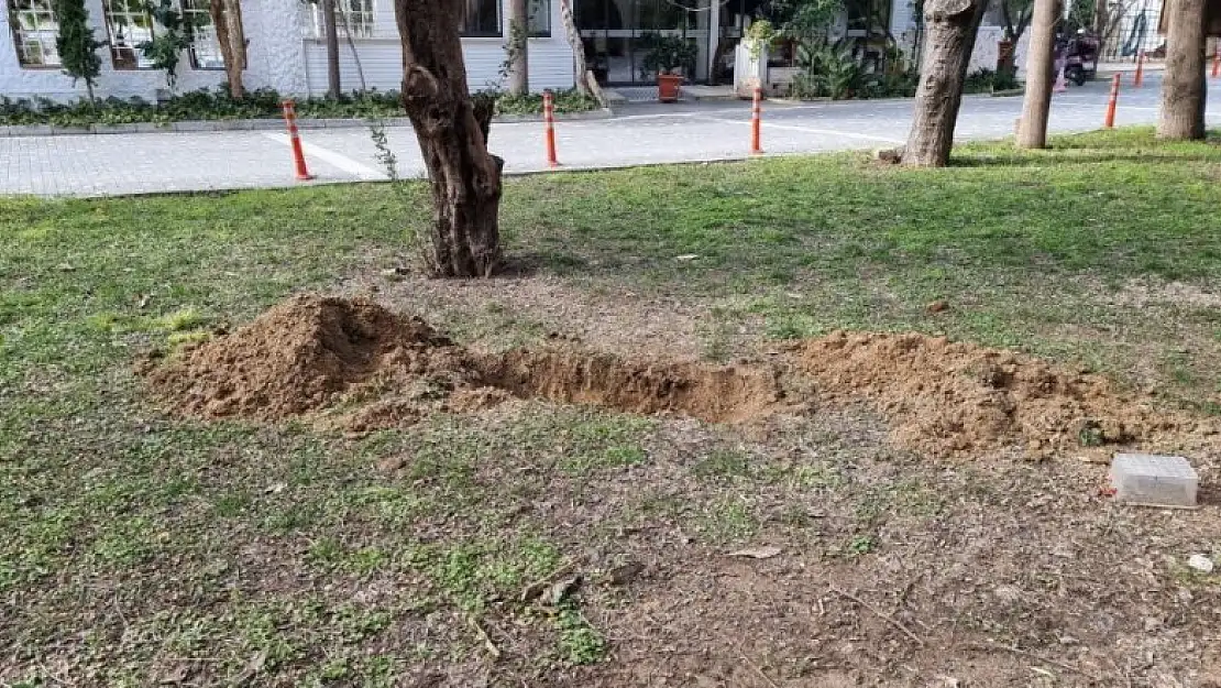 Mezar kazılıyor ihbarı ile olay yerine giden ekipler, korkunç cinayet ile karşılaştı