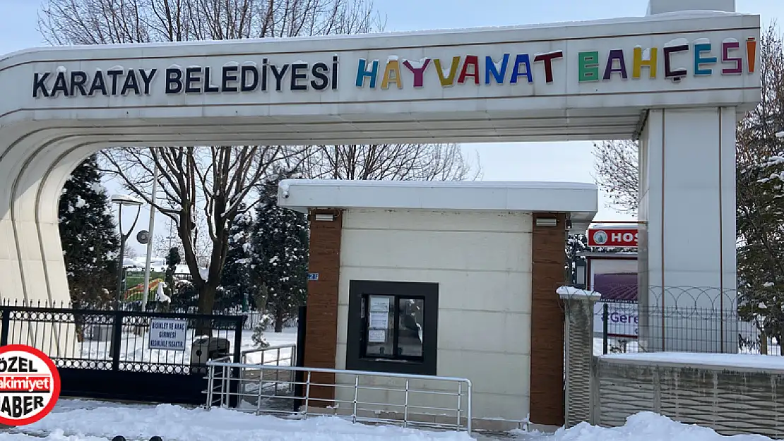 Hayvanat bahçesi sakinleri soğuktan korunuyor