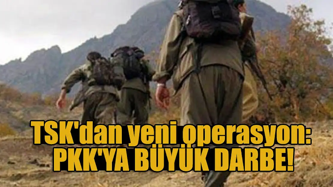 TSK'dan yeni operasyon: PKK'ya büyük darbe!