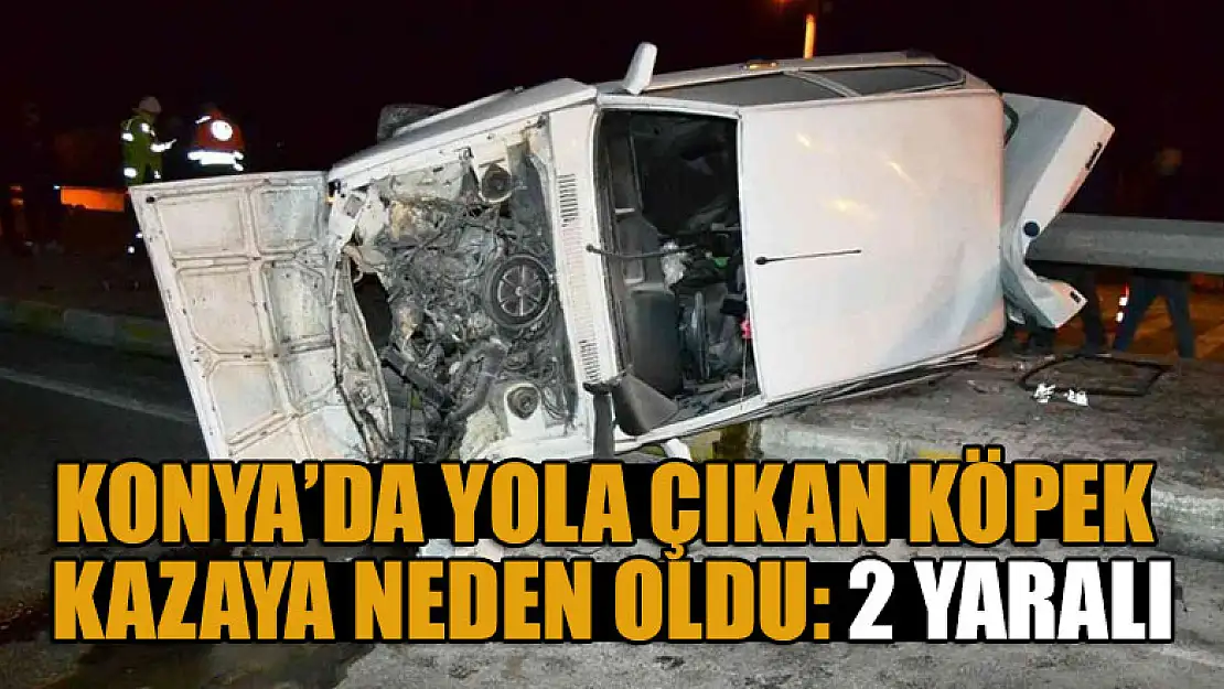 Konya'da yola çıkan köpek kazaya neden oldu: 2 yaralı